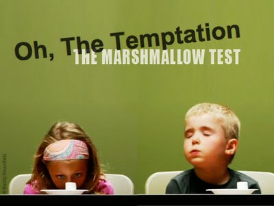 Image result for marshmallow test